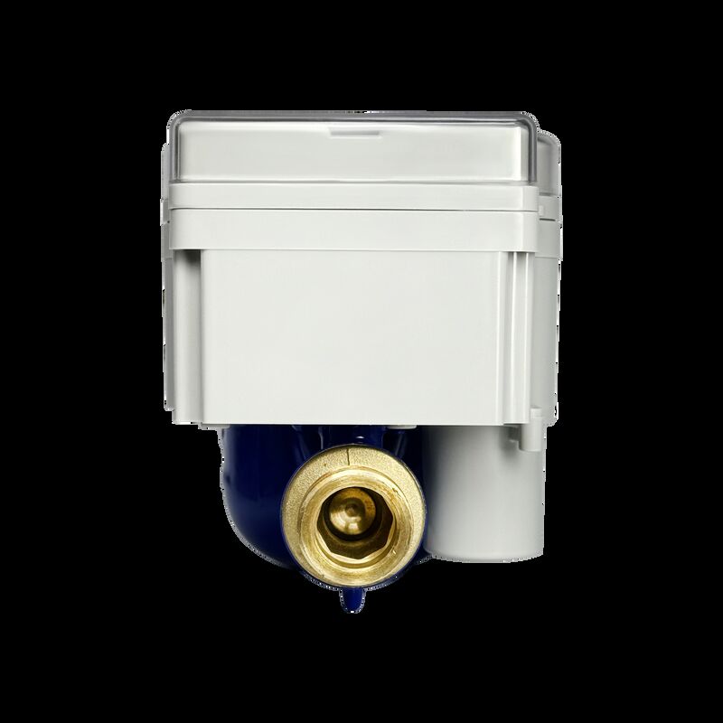 Smart Meter Air Prabayar (STS Standaliard) ODM/ OEM Display Mekanis Jelas yang Dapat Dikustomisasi (Anti-Kabut) Reble Brass Water