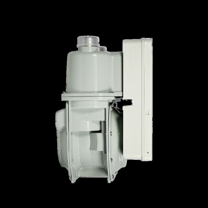 Smart Digital Gas Meters Menghemat Energi STS Prabayar LORAWAN G1.6/G2.5/G4.0 Vertikal Gas Cylinder Meter