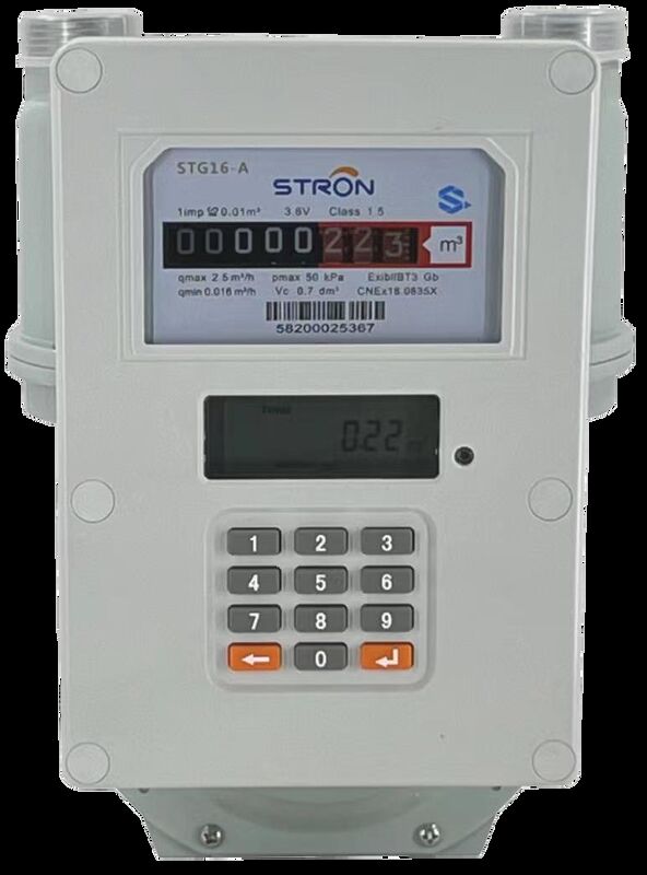 STS Smart Gas Meter prabayar yang dilengkapi dengan deteksi manipulasi pembaruan firmware jarak jauh dan peringatan konsumsi waktu nyata untuk utilitas gas