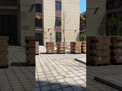 Meter Penghitung Listrik Satu Fasa Anti-Rusak untuk Manajemen Energi Industri